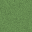 grass texture