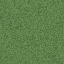 grass texture