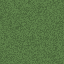 grass texture